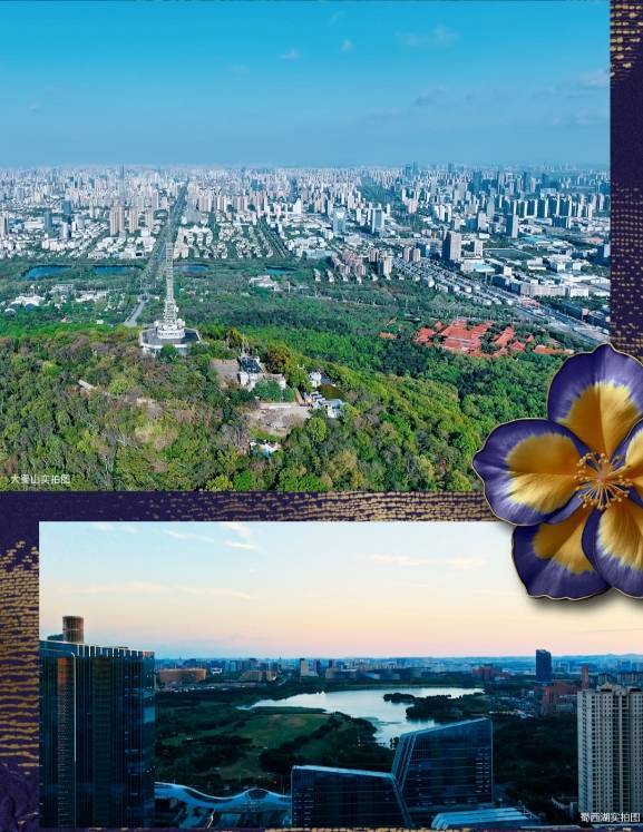 绿城锦海棠【合肥2024首页】 丨学区是什么折扣多少合肥楼市(图6)