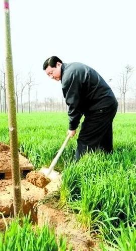 【学习小组】这些树故事感人(图1)